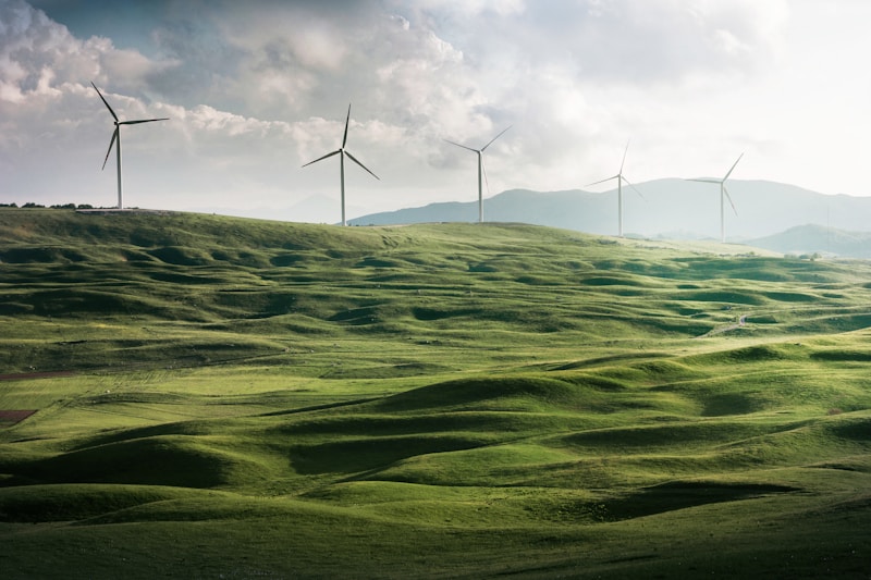 Environment